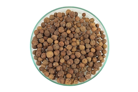 Ziele Angielskie Ziarno